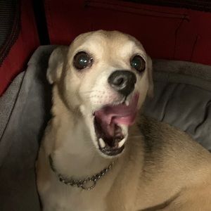 Meet your Posher, Kelsey